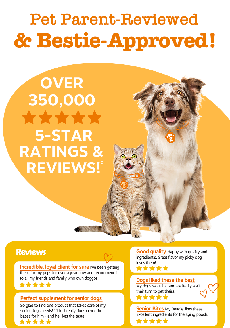 Zesty Paws Probiotic Bites Dog Supplement Trial Pack 10 Chews