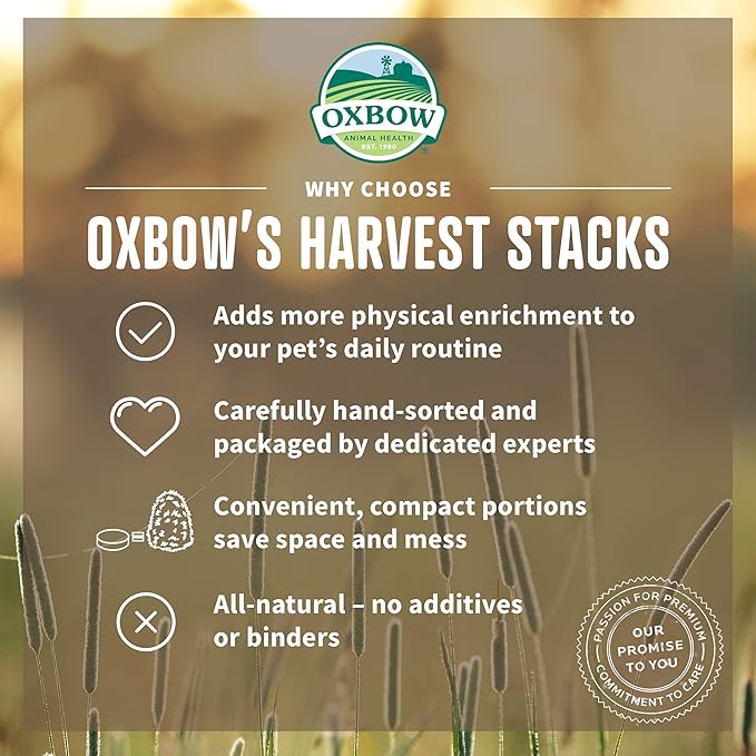 Oxbow Harvest Stacks Western Timothy & Carrot Compressed Hay
