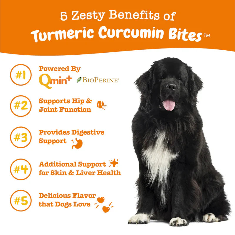 Zesty Paws Turmeric Curcumin Bites Dog Supplements 90ct