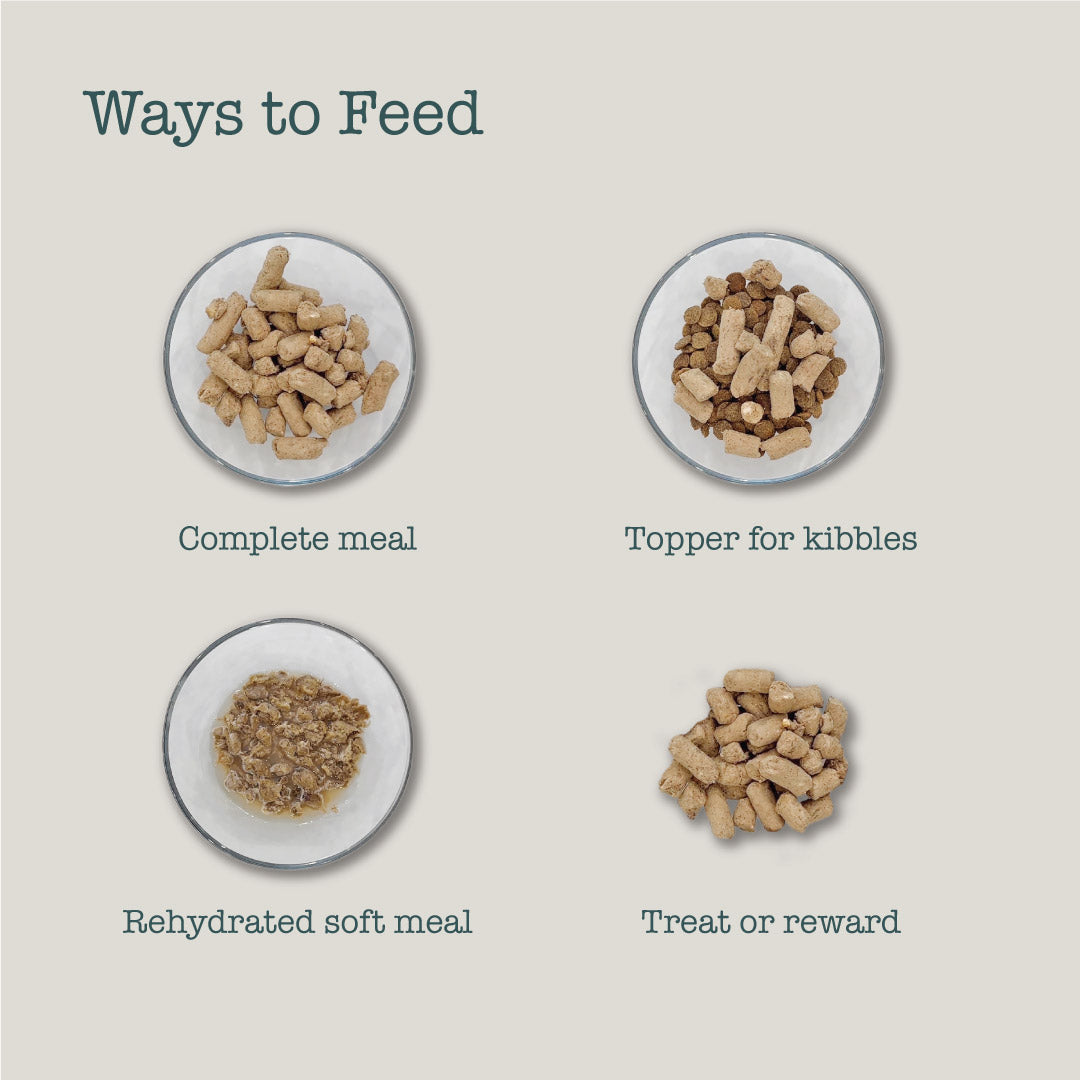 Boneve Freeze Dried Cat Food Trial Pack 5g