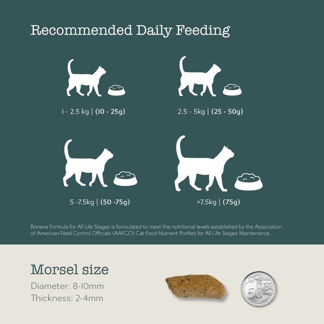 Boneve Freeze Dried Cat Food Trial Pack 5g
