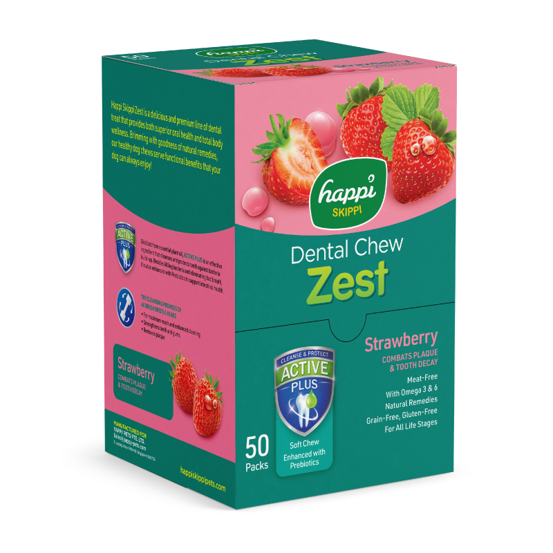Happi Skippi Zest Regular 4-inch Dog Dental Chew 25g x 50 (Box)
