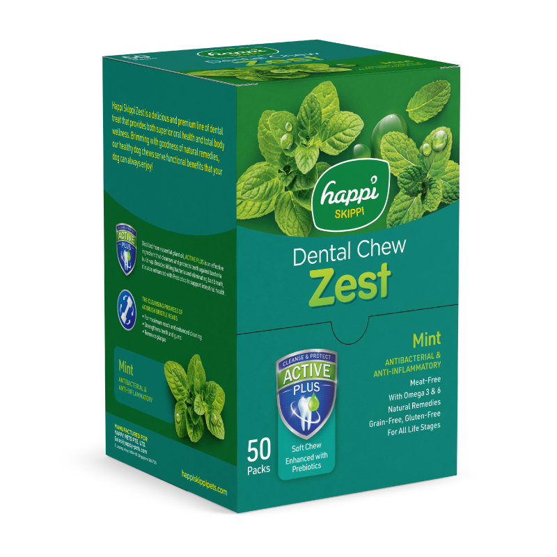 Happi Skippi Zest Regular 4-inch Dog Dental Chew 25g x 50 (Box)