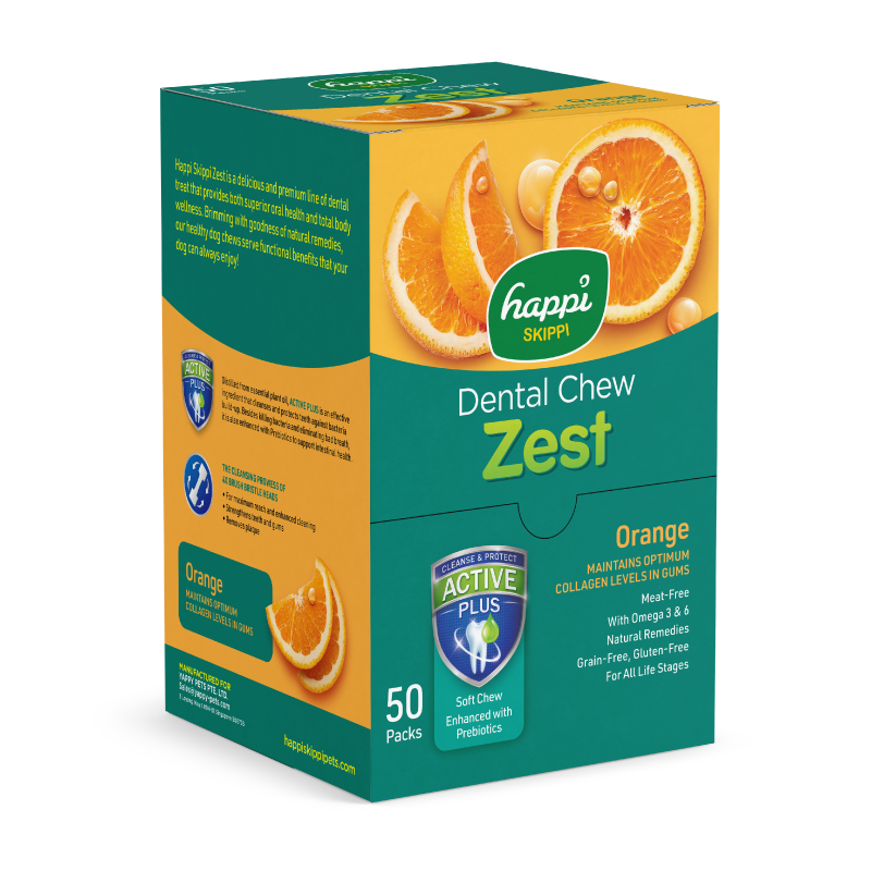 Happi Skippi Zest Regular 4-inch Dog Dental Chew 25g x 50 (Box)