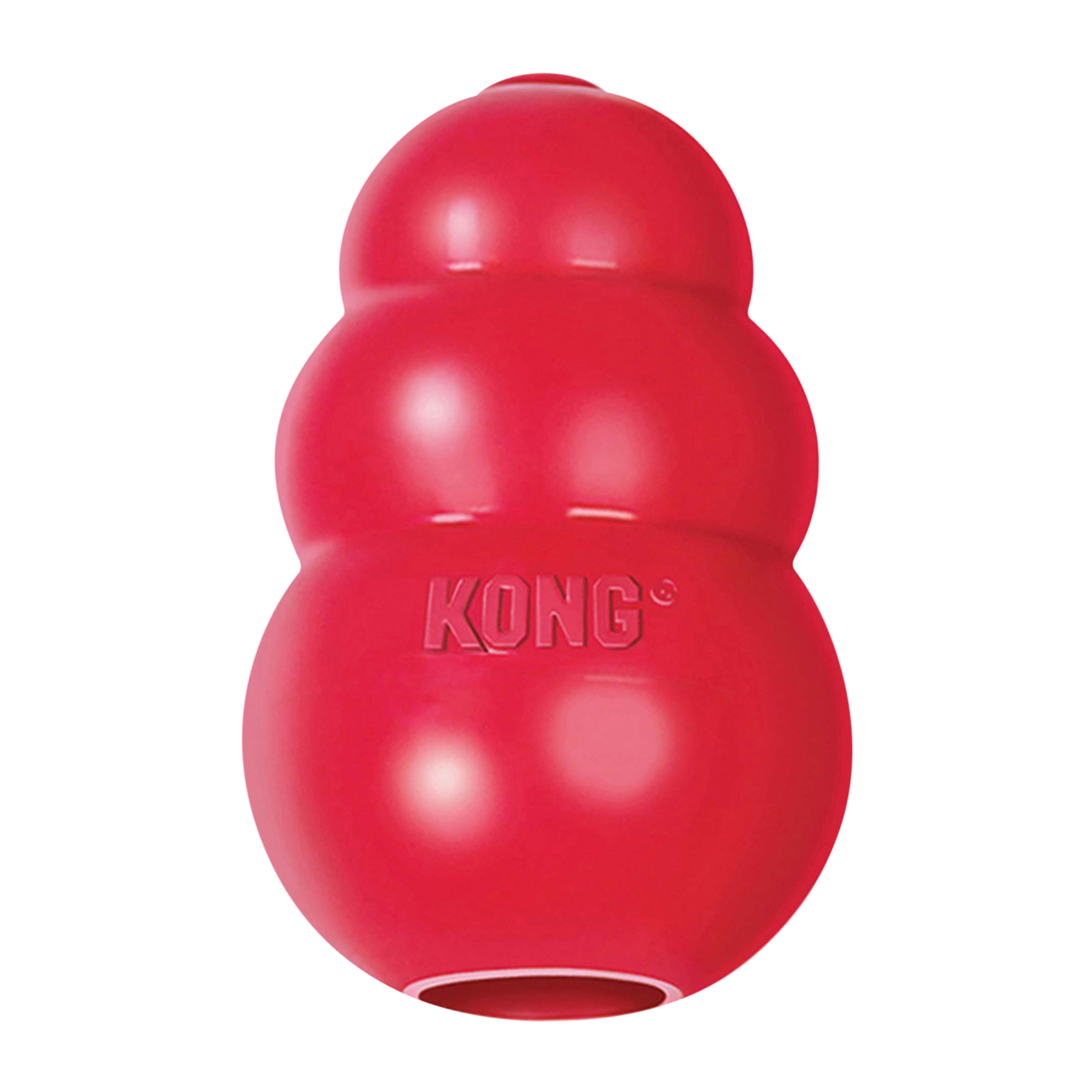KONG Classic Dog Toy