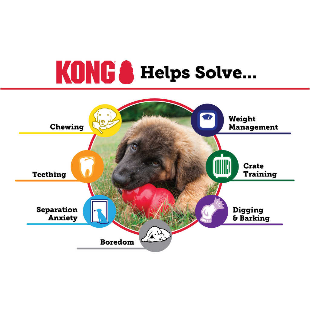 KONG Classic Dog Toy