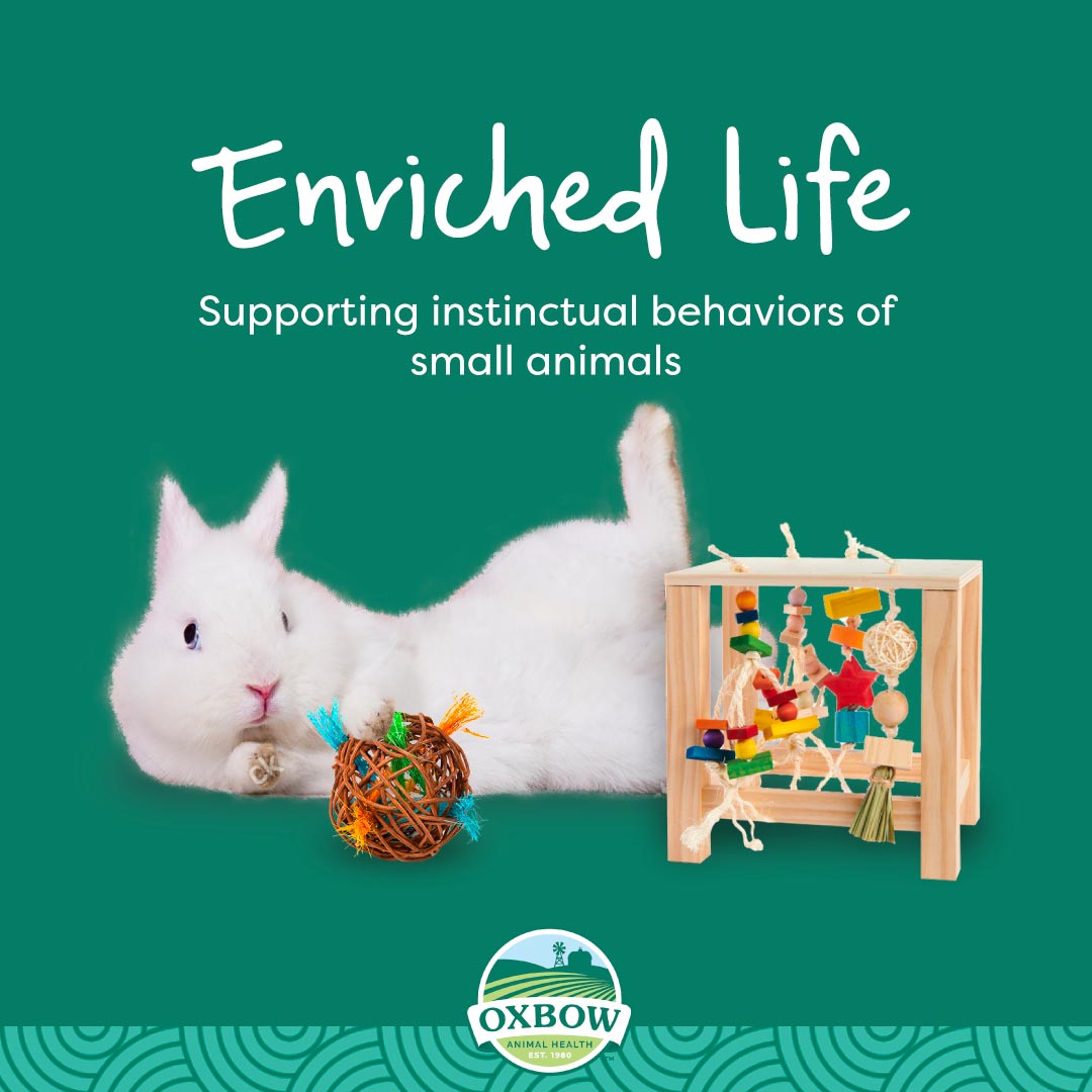 Oxbow Enriched Life Play Yard Leak Proof Floor Cover