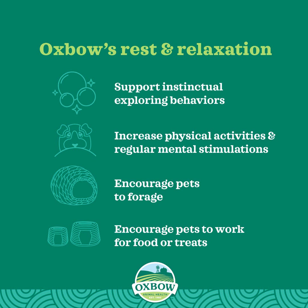 Oxbow Enriched Life Play Post for Small Pets