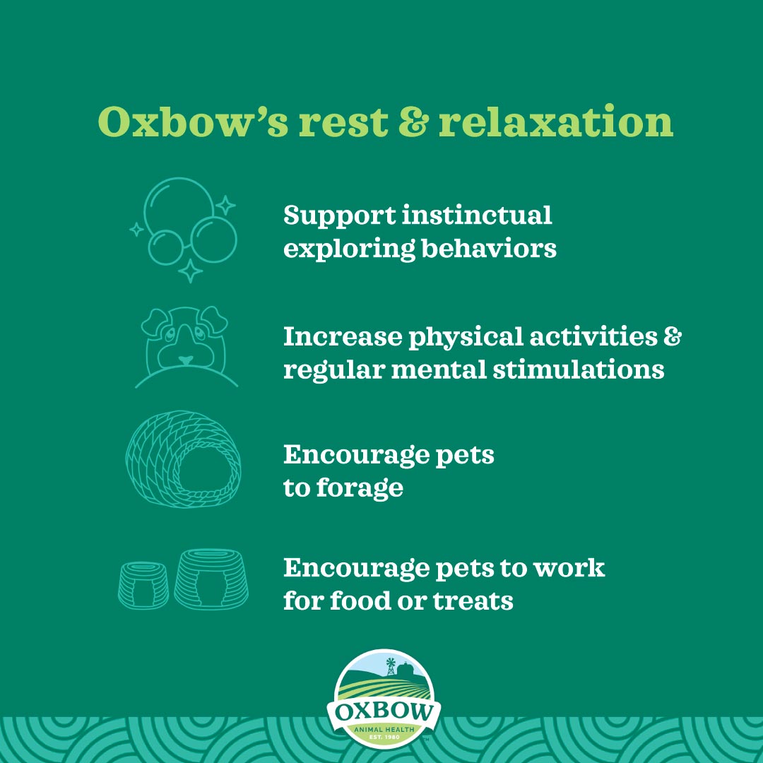 Oxbow Enriched Life Play Yard Leak Proof Floor Cover