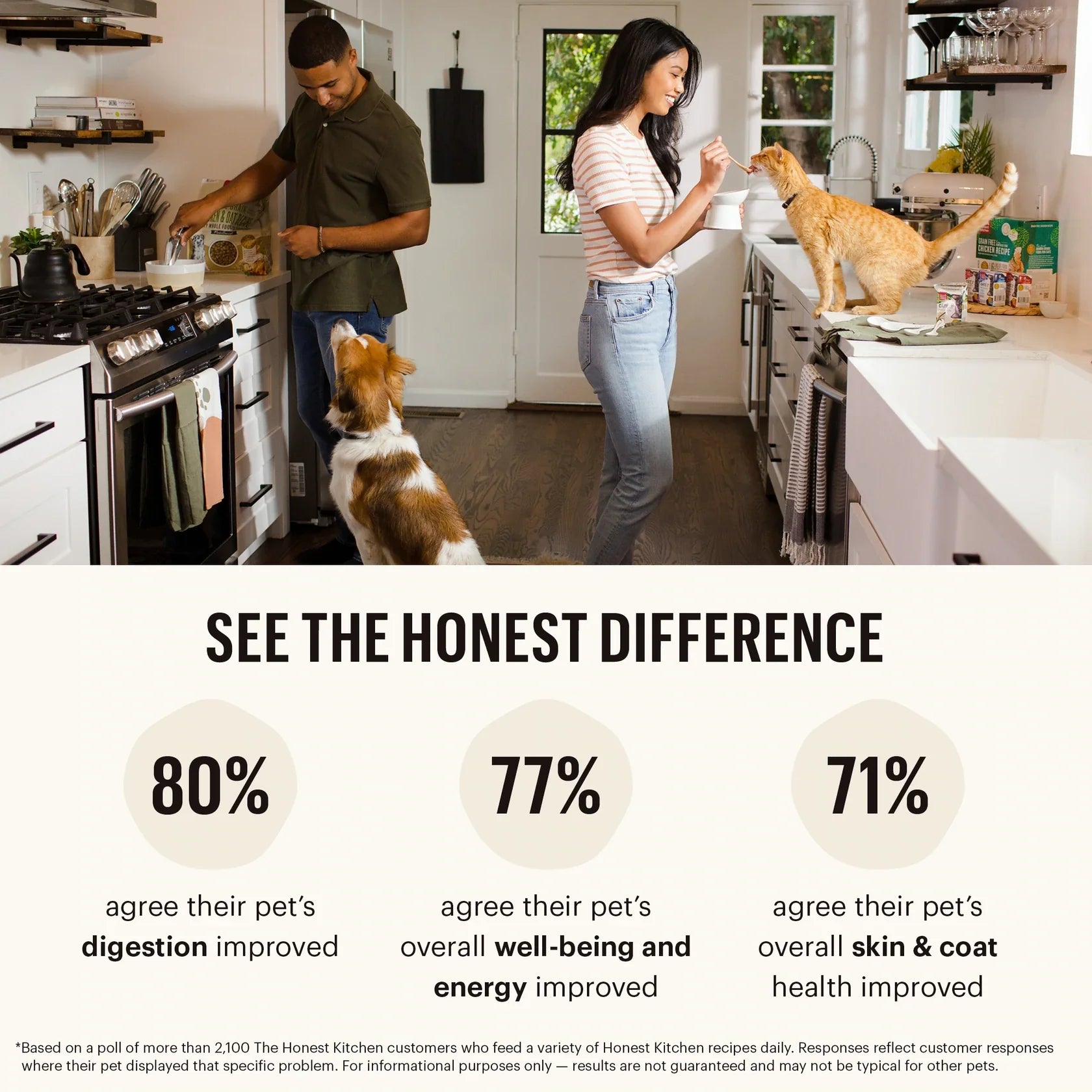 The Honest Kitchen One Pot Stews Wet Dog Food Braised Beef & Lamb 10.05oz