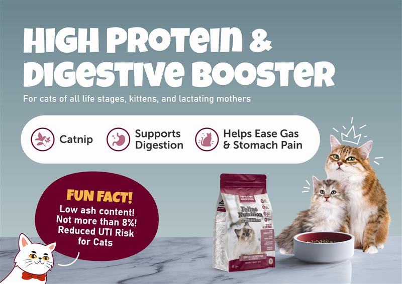 Top Ration Premium Cat Dry Food 6kg