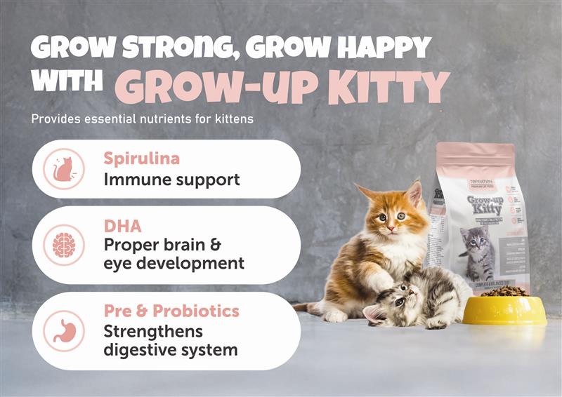 Top Ration Premium Cat Dry Food 6kg