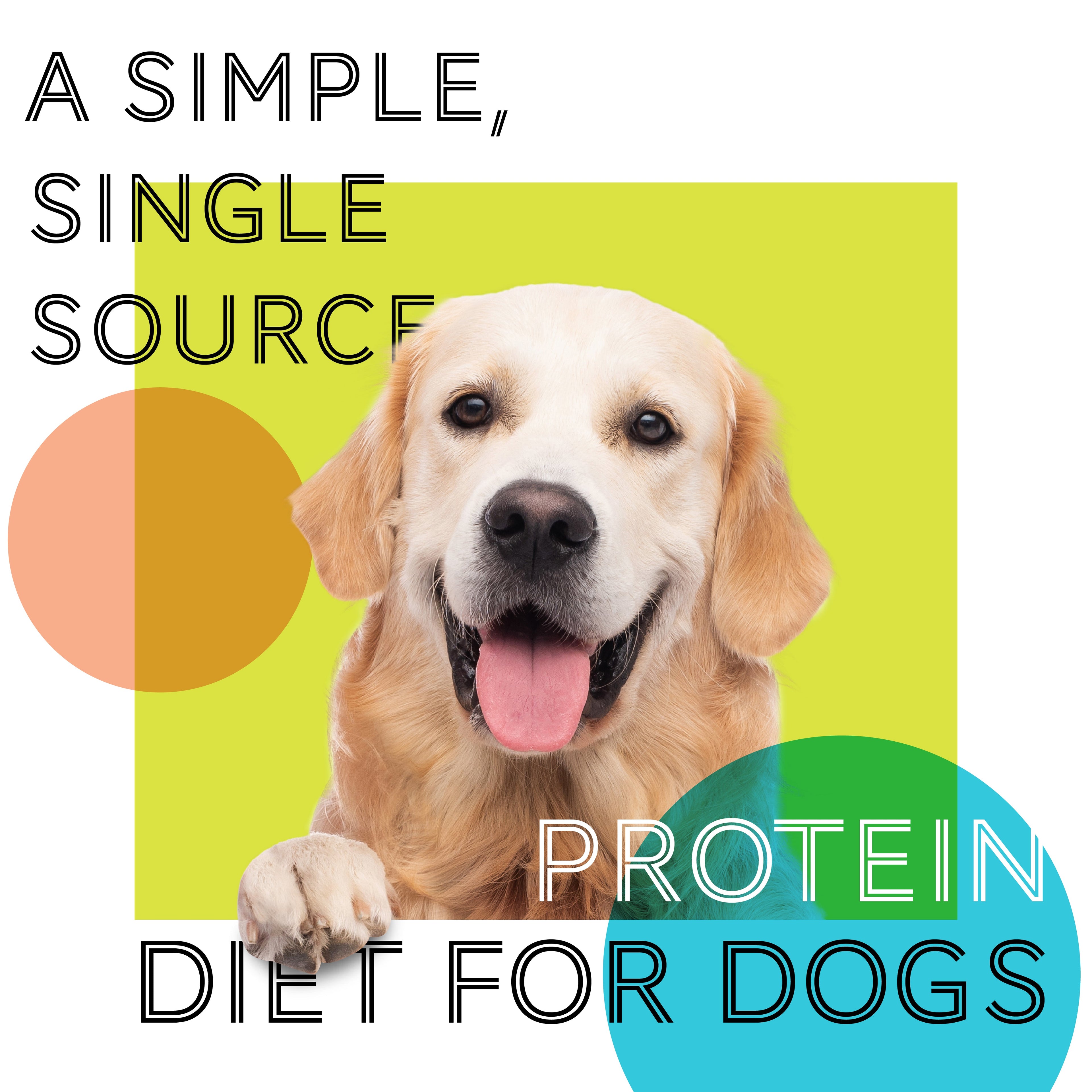 Daily Delight Wholesome & Hearty Dog Wet Food 375g