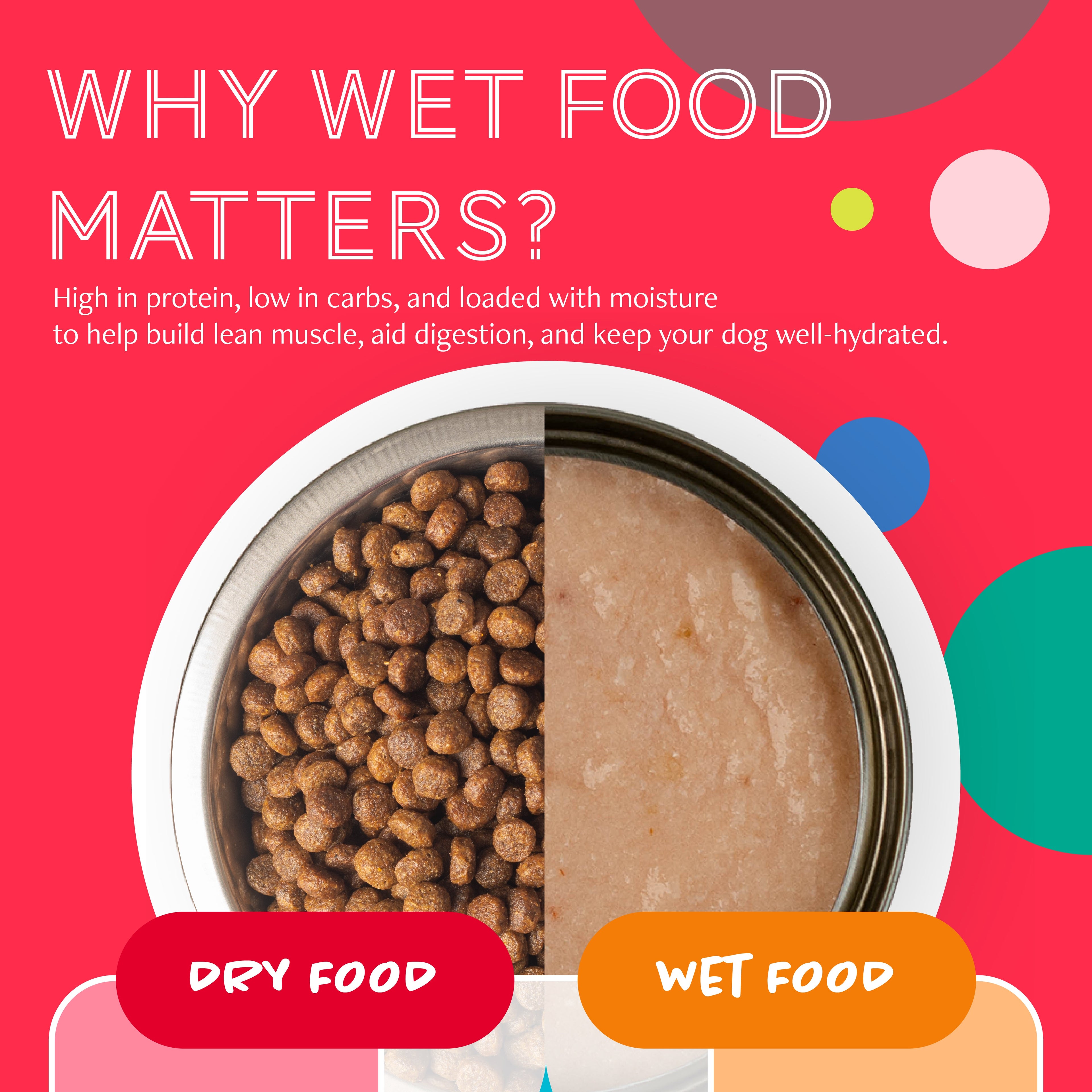 Daily Delight Wholesome & Hearty Dog Wet Food 375g