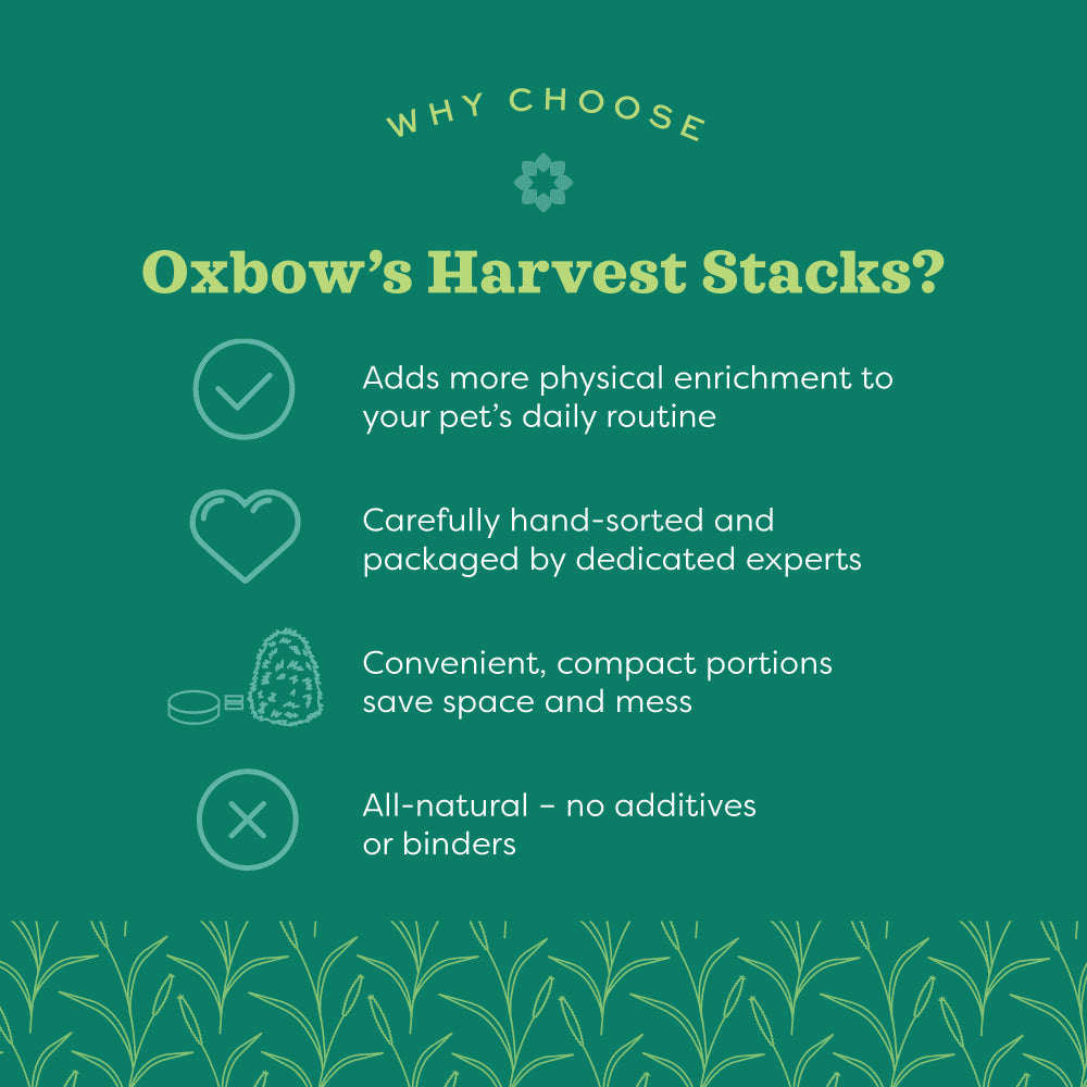 Oxbow Harvest Stacks Western Timothy & Carrot Compressed Hay